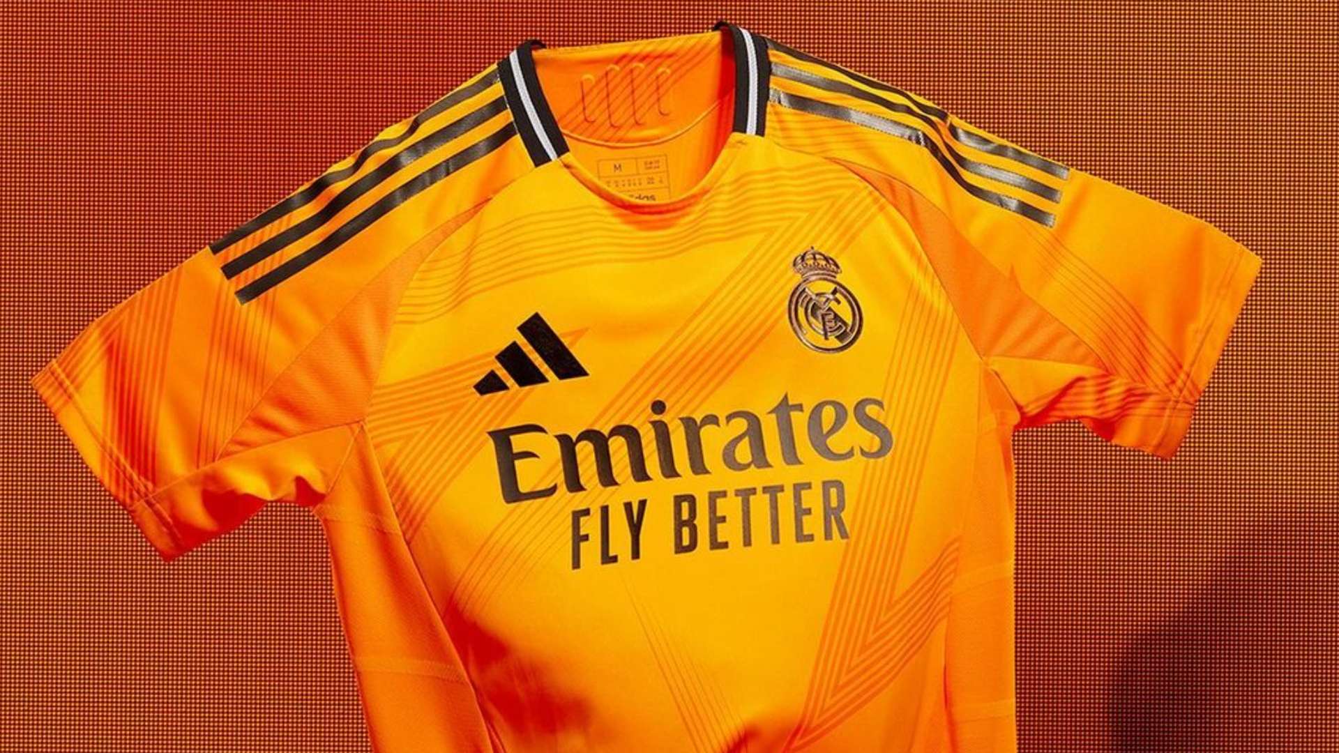 教練的影響 教練的影響